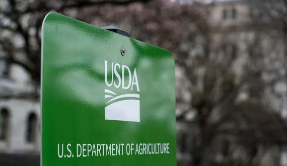 Thumbnail for Food safety, plant health unions hit by USDA contract terminations