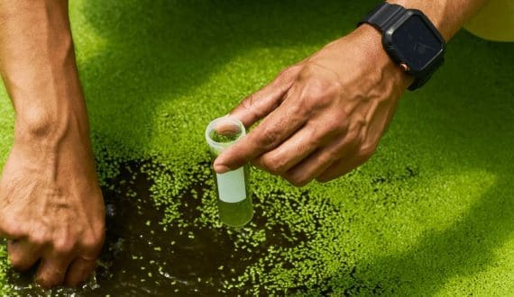 Thumbnail for Plantible’s new Texas facility to scale Rubi Protein production