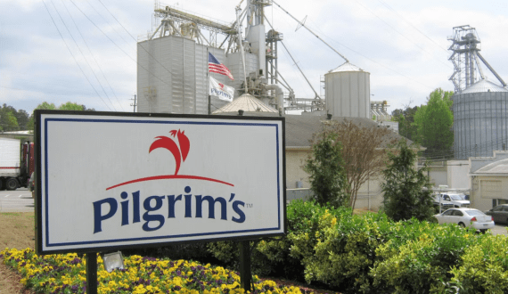 Thumbnail for Pilgrim’s Pride to convert Alabama plant to no-antibiotics-ever chicken production