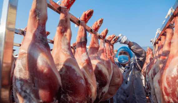 Thumbnail for UK secures US$24.3M pork export deal with Mexico