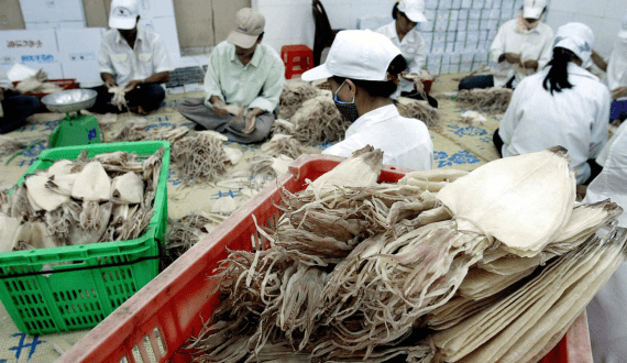 Thumbnail for Malaysia restrictS meat, poultry imports to products with Halal certification