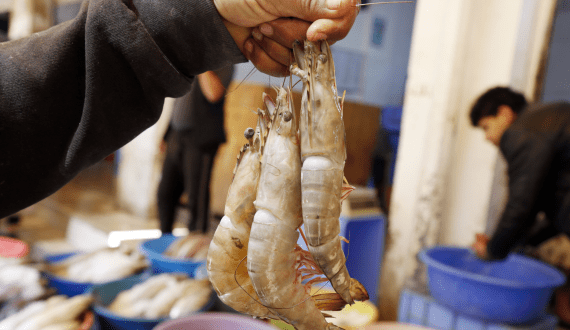 Thumbnail for Burnbrae Farms to build new egg grading facility in Canada