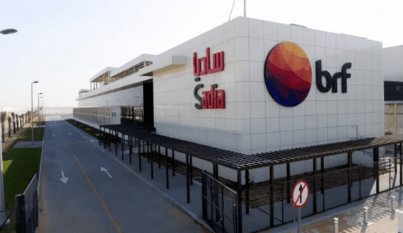 Thumbnail for BRF reports US$136M Q2 profit as bird flu limits exports