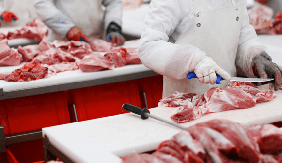 Thumbnail for Namibia’s Beef Value Chain Forum completes US$22.5M beef facility