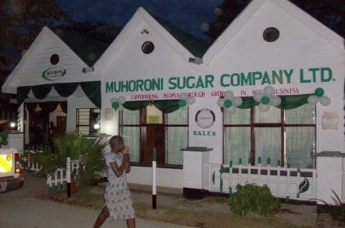 Thumbnail for Muhoroni Sugar Factory resumes operations as Kenya’s sugar industry revival gains momentum