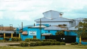 Johnvents cocoa processing capacity rises to 82% in H1 2026