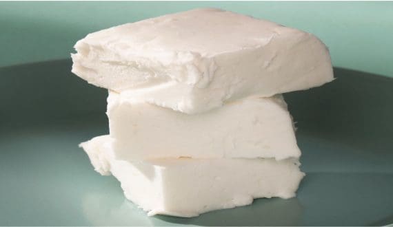Thumbnail for Perfat Technologies secures US$2.7M to scale healthy fat alternatives