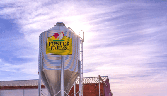 Thumbnail for Foster Farms to sell Louisiana facilities to Case Farms