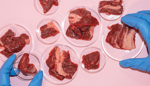 Thumbnail for Lab-grown meat makers to sue Texas State over ban on cultivated protein
