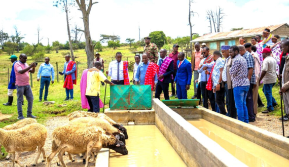 Thumbnail for Kenya’s government expands livestock breeding to increase exports