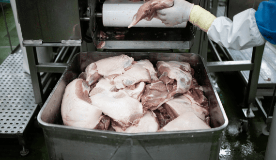 Thumbnail for UK’s pork exports rise by 5.2% year on year in first half of 2025