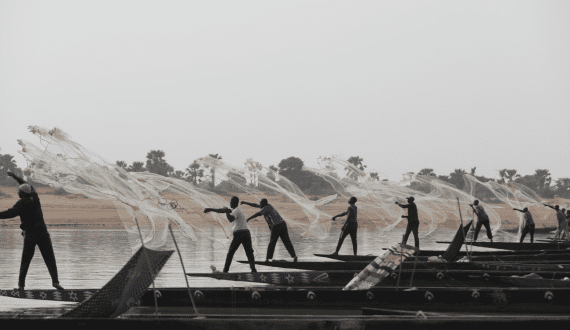 Thumbnail for WTO fisheries subsidies agreement to take effect after reaching ratification threshold