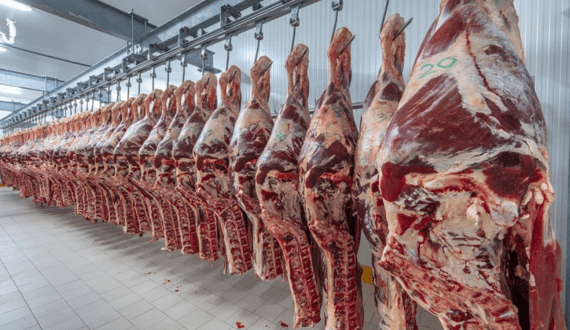 Thumbnail for Middle East meat market to reach US$154.8B by 2033