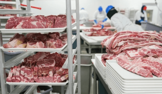 Thumbnail for Africa meat market to grow towards US$108.2 billion by 2033