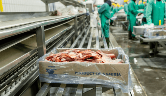 Thumbnail for Namibia’s Meatco announces plans to slaughter 75,000 cattle in current financial year