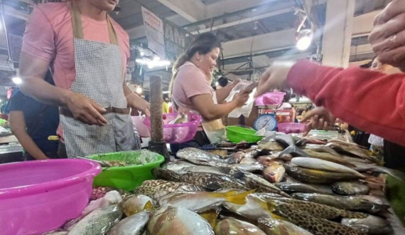 Thumbnail for Philippines importS 55,000 MT of frozen fish products
