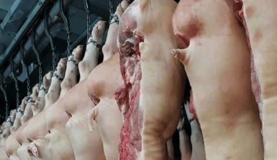 Thumbnail for UK pig meat exporters explore trade opportunities in Vietnam