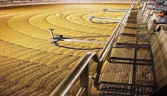 Thumbnail for Soufflet Malt launches MalTiply 2030 strategy to transform global malt applications 