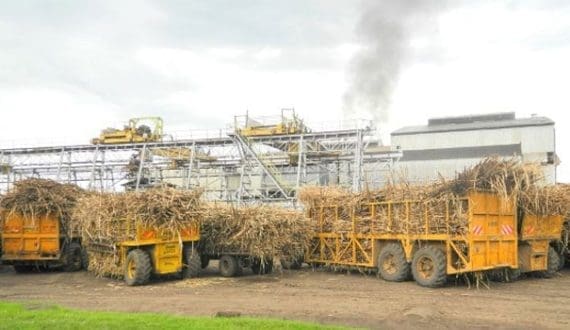 Thumbnail for KUSPAW warns of strike over delayed payments in Kenya sugar sector 