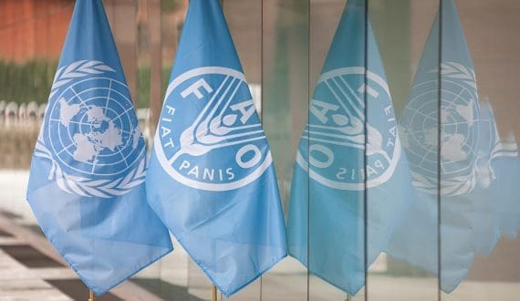 Thumbnail for FAO to inaugurate global food, agriculture Museum in Rome