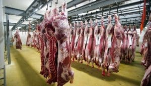 Kenya prepares to launch Isiolo Export Abattoir to expand value-added livestock exports