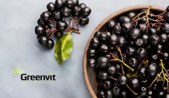 Thumbnail for Greenvit launches Aronvit aronia extract in United States 