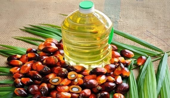 Thumbnail for Indonesia considers new palm oil export restrictions amid biodiesel push