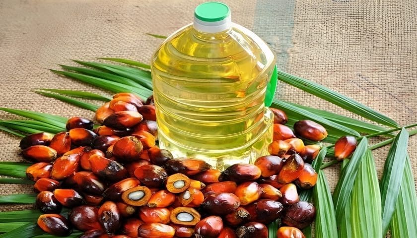 Thumbnail for Indonesia considers new palm oil export restrictions amid biodiesel push