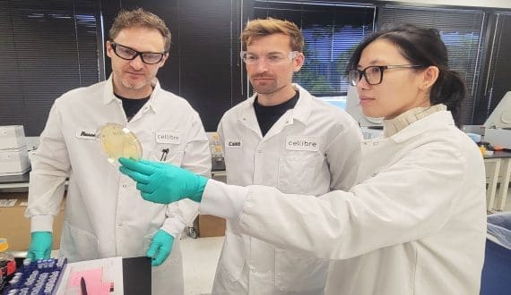 Thumbnail for Symrise invests in Cellibre to advance fermentation-based flavor innovation