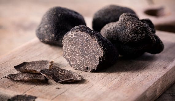 Thumbnail for TruffleHunter expands into new Asian markets with support from UK export finance