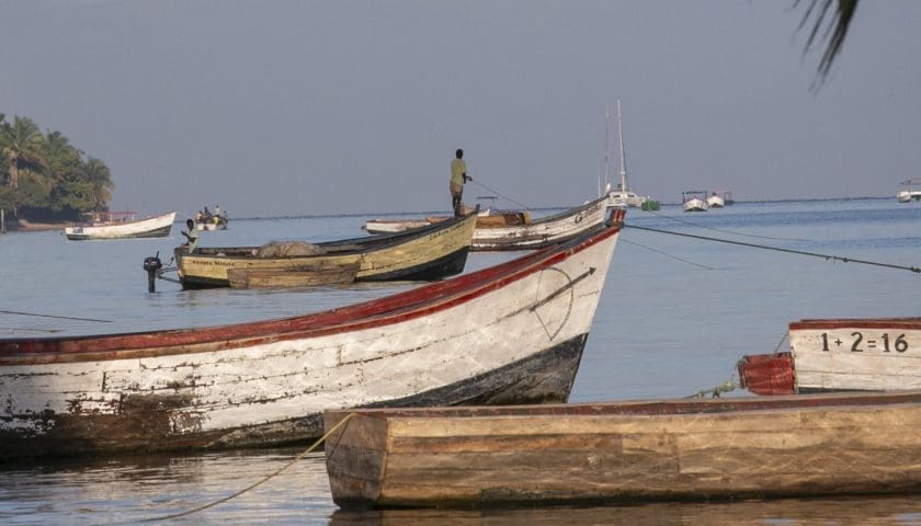 Thumbnail for New AfDB report reveals inland fishing remains a major food source across the Sahel