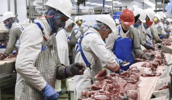 Thumbnail for Pilgrim’s Europe reports profit growth despite revenue dip