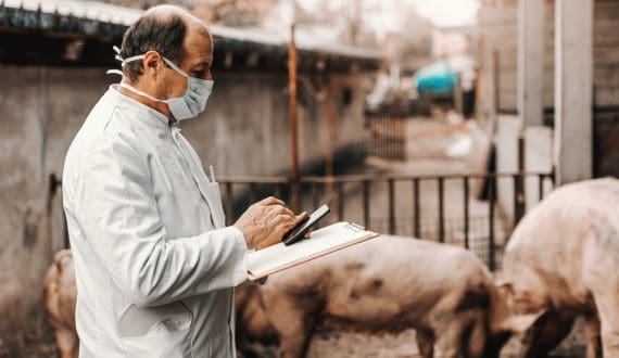 Thumbnail for WOAH sets first global rules for African swine fever vaccines