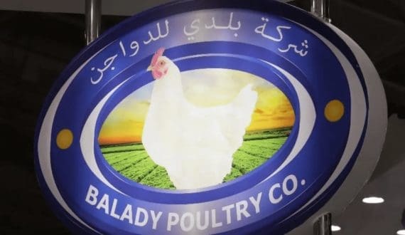 Thumbnail for Saudi’s Balady Poultry Company signs US$304 million land lease deals for poultry expansion