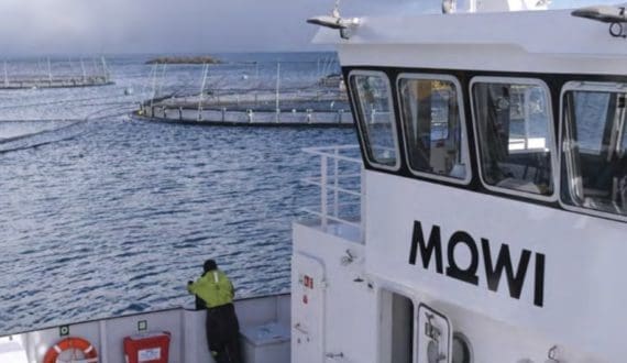 Thumbnail for Mowi increases control in Nova Sea after EU approval