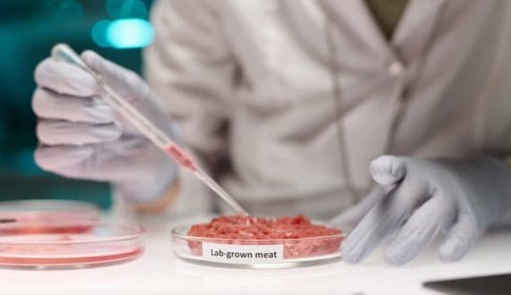 Thumbnail for GFI acquires SciFi Foods’ cultivated meat assets for public research use