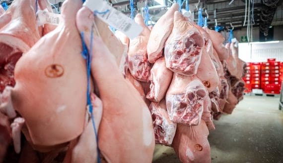 Thumbnail for CPF partners with Japan’s NH Foods in US$55m pork-processing venture
