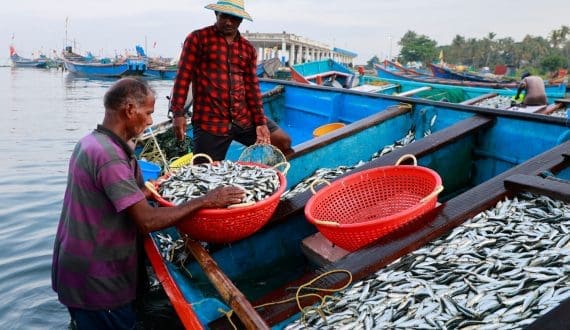 Thumbnail for Vietnam eyes seafood byproduct industry to drive sustainability, profits