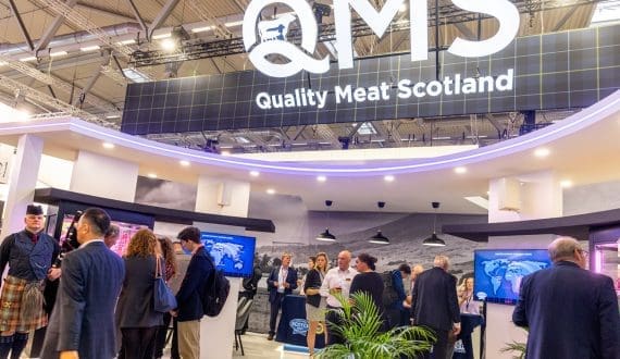 Thumbnail for QMS marks first year of Environment Baselining Pilot