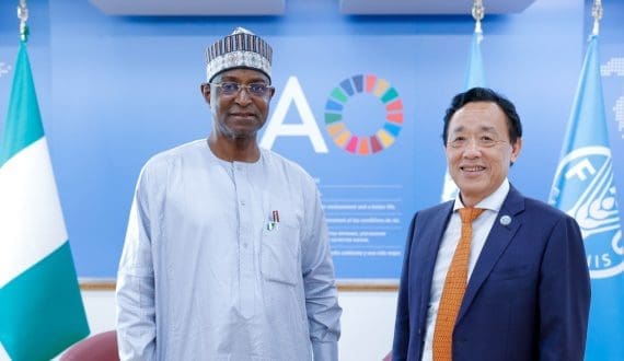 Thumbnail for FAO Director-General meets Nigeria’s livestock Minister to advance sector reforms