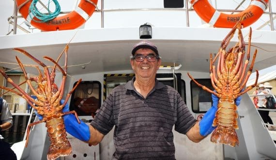 Thumbnail for South Africa increases rock lobster catch quota amid ongoing poaching crisis