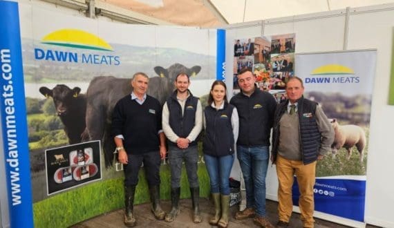 Thumbnail for Dawn Meats invests US$154M for majority stake in New Zealand’s Alliance Group