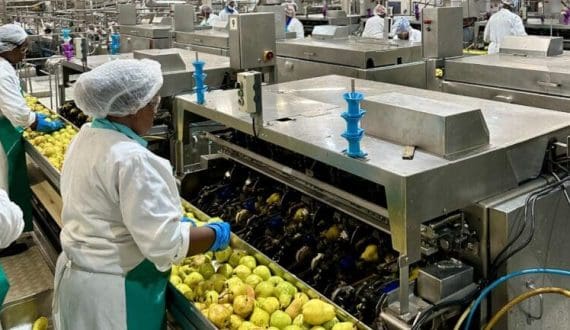 Thumbnail for Coca-Cola weighs US$1B IPO for Indian bottling arm Hindustan Coca-Cola Beverages 