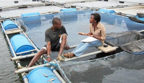 Thumbnail for Ghana to establish aquaculture development fund to boost local fish production