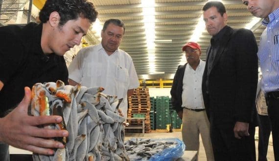 Thumbnail for Baja Aqua-Farms expands seafood operations through acquisition of Baja Marine Foods
