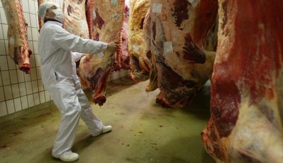 Thumbnail for Australia welcomes Trump’s removal of beef tariffs, seeks more relief