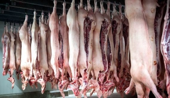 Thumbnail for Taiwan’s trade rules keep U.S. pork exports limited