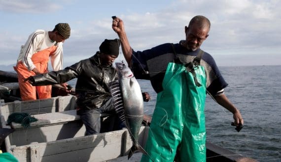 Thumbnail for South African fishers fear delays following another ministerial change