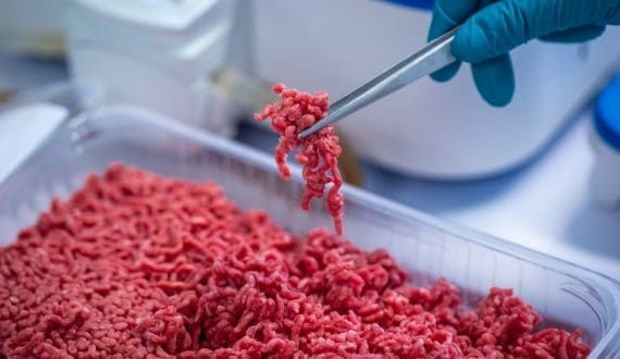 Thumbnail for Hungary bans cultivated meat amid EU pushback