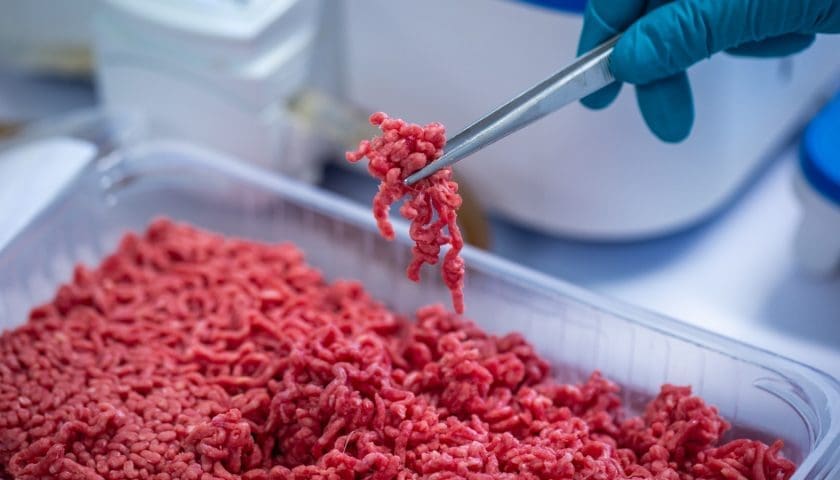 Thumbnail for Hungary bans cultivated meat amid EU pushback
